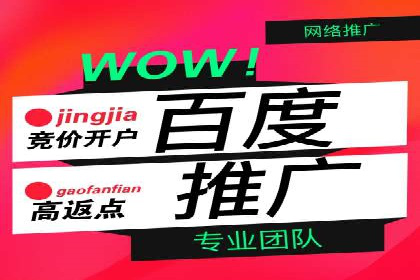 SEM营销推广：案例解读成功秘诀